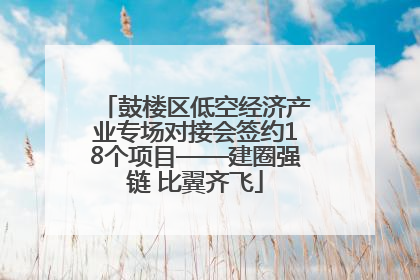 鼓楼区低空经济产业专场对接会签约18个项目——建圈强链 比翼齐飞