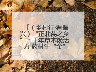 （乡村行·看振兴）“正北芪之乡”：千年草本焕活力 药材生“金”富农家