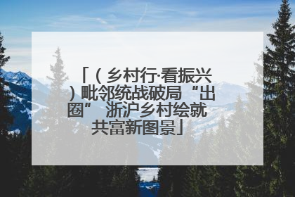 （乡村行·看振兴）毗邻统战破局“出圈” 浙沪乡村绘就共富新图景