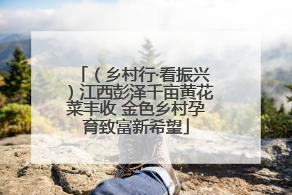 （乡村行·看振兴）江西彭泽千亩黄花菜丰收 金色乡村孕育致富新希望