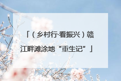 （乡村行·看振兴）赣江畔滩涂地“重生记”