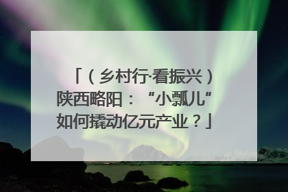 （乡村行·看振兴）陕西略阳：“小瓢儿”如何撬动亿元产业？