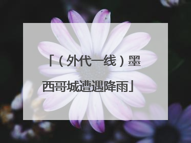 （外代一线）墨西哥城遭遇降雨