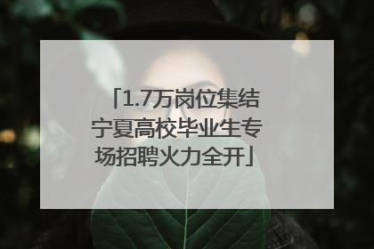 1.7万岗位集结 宁夏高校毕业生专场招聘火力全开