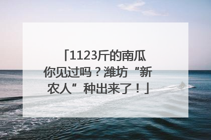1123斤的南瓜你见过吗？潍坊“新农人”种出来了！