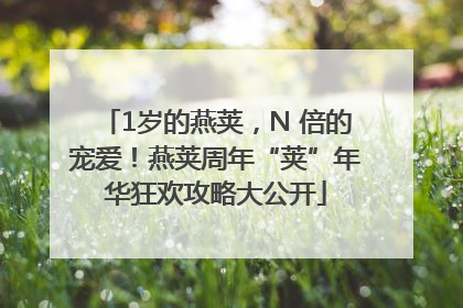 1岁的燕荚，N 倍的宠爱！燕荚周年“荚”年华狂欢攻略大公开