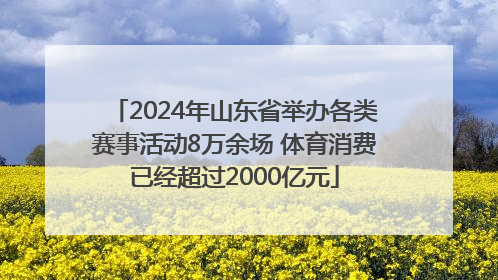 2024年山东省举办各类赛事活动8万余场 体育消费已经超过2000亿元