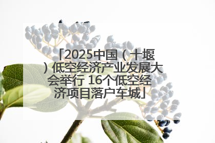 2025中国（十堰）低空经济产业发展大会举行 16个低空经济项目落户车城