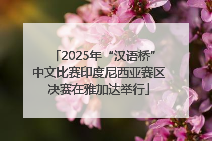 2025年“汉语桥”中文比赛印度尼西亚赛区决赛在雅加达举行