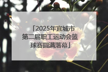 2025年宜城市第二届职工运动会篮球赛圆满落幕
