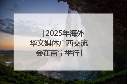 2025年海外华文媒体广西交流会在南宁举行