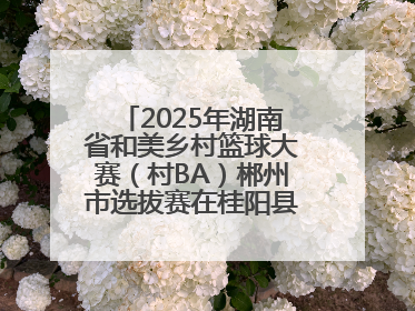 2025年湖南省和美乡村篮球大赛（村BA）郴州市选拔赛在桂阳县火热开赛