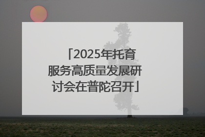 2025年托育服务高质量发展研讨会在普陀召开