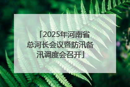 2025年河南省总河长会议暨防汛备汛调度会召开