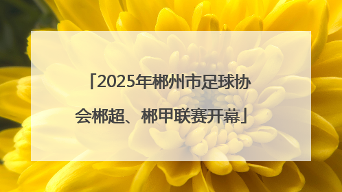 2025年郴州市足球协会郴超、郴甲联赛开幕
