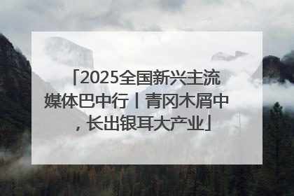 2025全国新兴主流媒体巴中行丨青冈木屑中，长出银耳大产业
