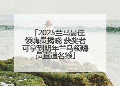 2025兰马最佳领嗨员揭晓 获奖者可拿到明年兰马领嗨员直通名额