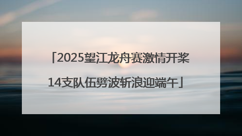 2025望江龙舟赛激情开桨 14支队伍劈波斩浪迎端午