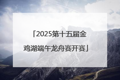 2025第十五届金鸡湖端午龙舟赛开赛