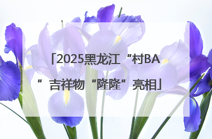 2025黑龙江“村BA”吉祥物“隆隆”亮相