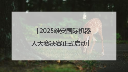 2025雄安国际机器人大赛决赛正式启动