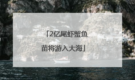 2亿尾虾蟹鱼苗将游入大海