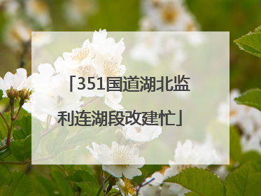 351国道湖北监利连湖段改建忙