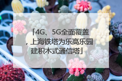 4G、5G全面覆盖，上海铁塔为乐高乐园建积木式通信塔