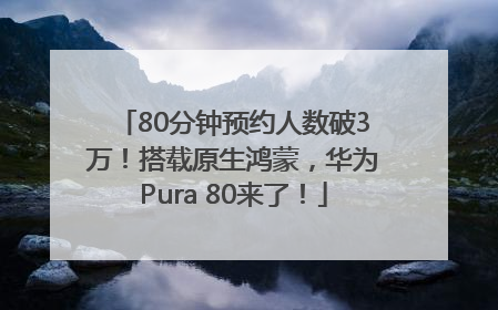 80分钟预约人数破3万！搭载原生鸿蒙，华为Pura 80来了！
