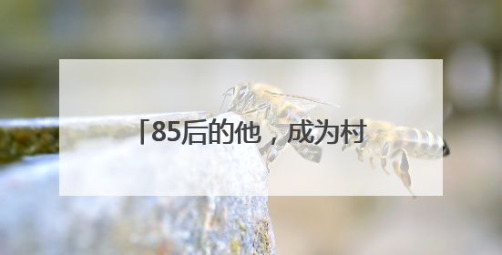 85后的他，成为村里养殖行业领路人