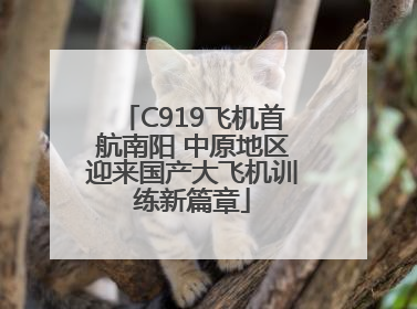 C919飞机首航南阳 中原地区迎来国产大飞机训练新篇章