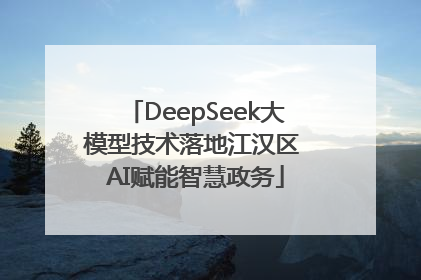DeepSeek大模型技术落地江汉区 AI赋能智慧政务