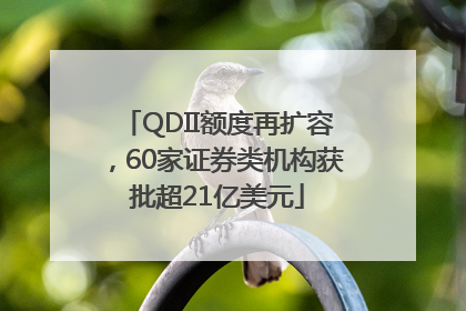 QDII额度再扩容，60家证券类机构获批超21亿美元